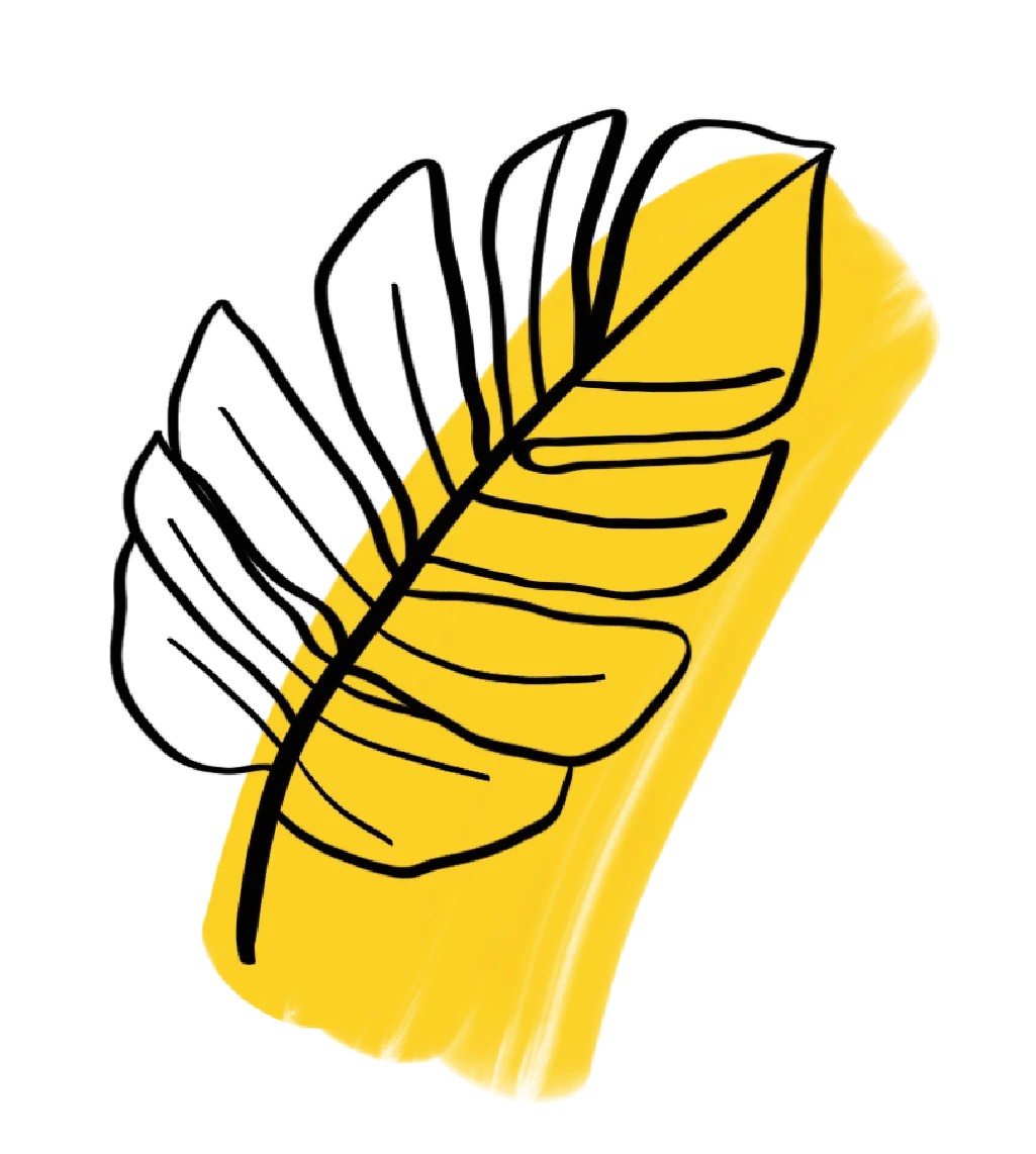 Illustration of a leaf