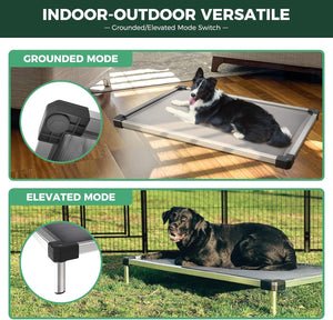 Elevated Dog Bed