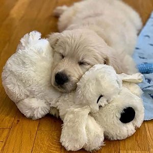 Snuggle Puppy