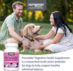 Proviable Probiotics