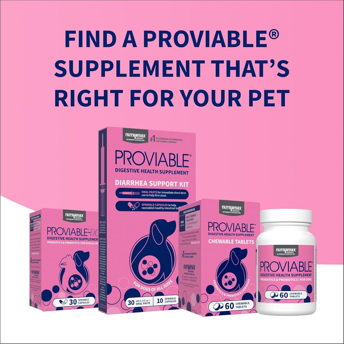 Proviable Probiotics