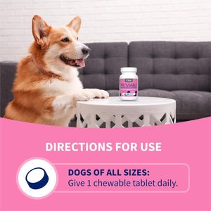 Proviable Probiotics