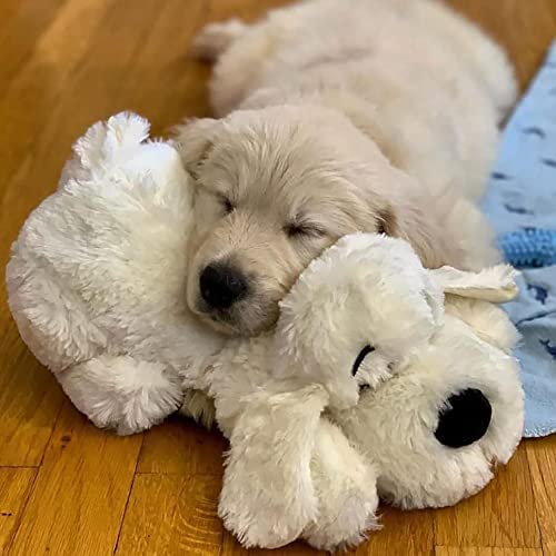 Snuggle Puppy
