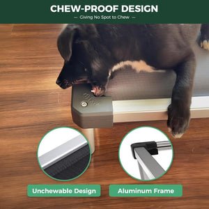 Elevated Dog Bed