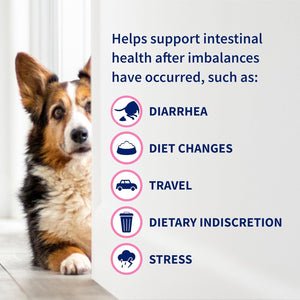 Proviable Probiotics