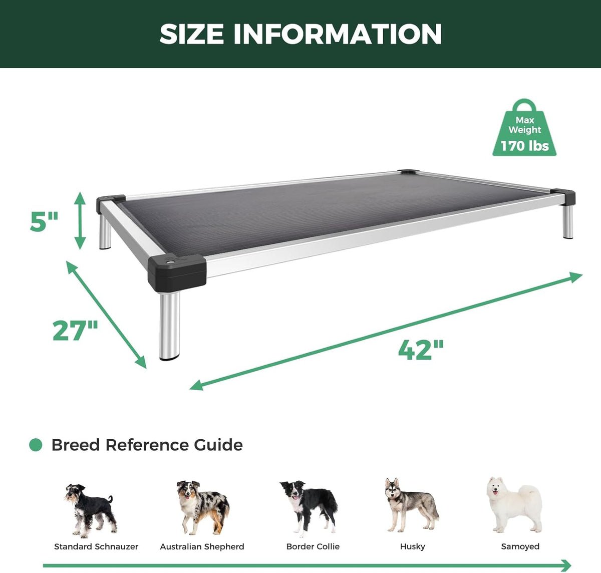 Elevated Dog Bed