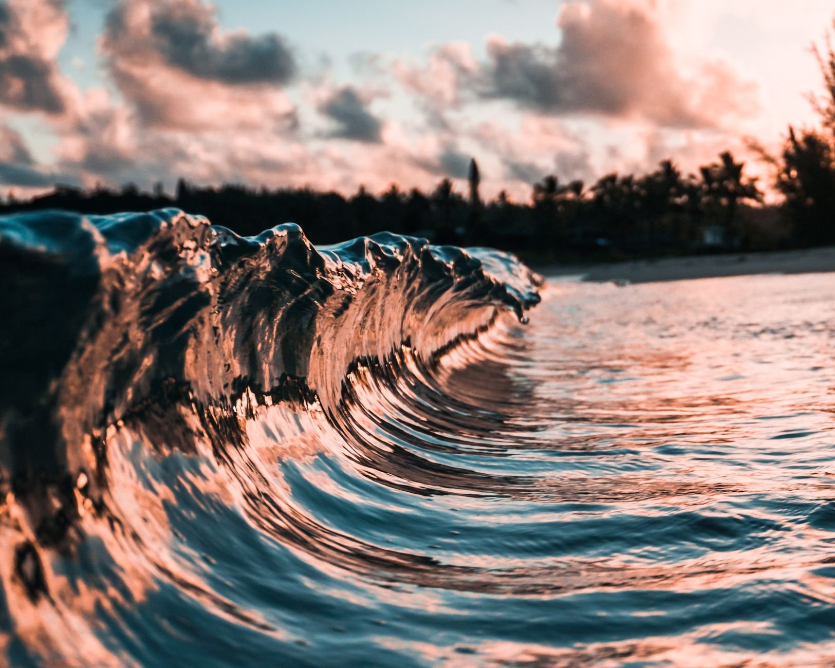 Dramatic close-up of an ocean wave at sunset