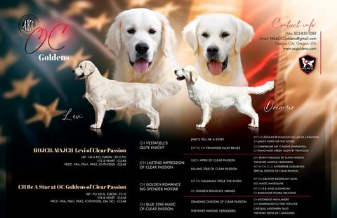 Image for Available Puppies