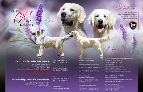 Image for Planned Litters