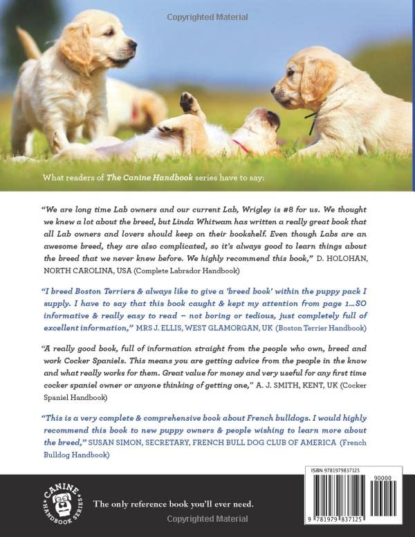 Golden Retriever Handbook
