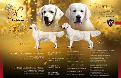 Image for Planned Litters
