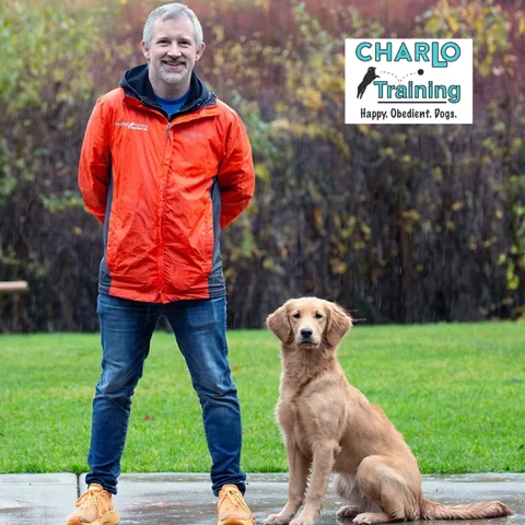 Image for OC Goldens Puppy Academy