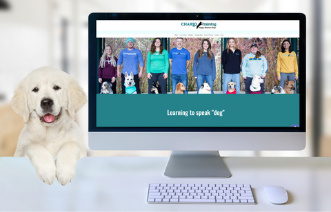 Image for OC Goldens Puppy Academy