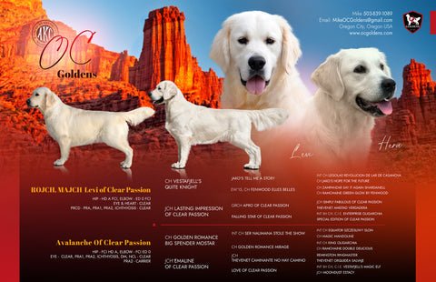 Image for Planned Litters