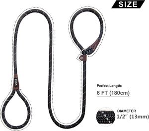 Slip Lead Dog Leash 6'