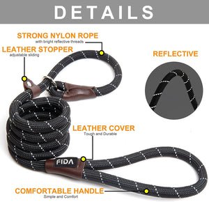 Slip Lead Dog Leash 6'