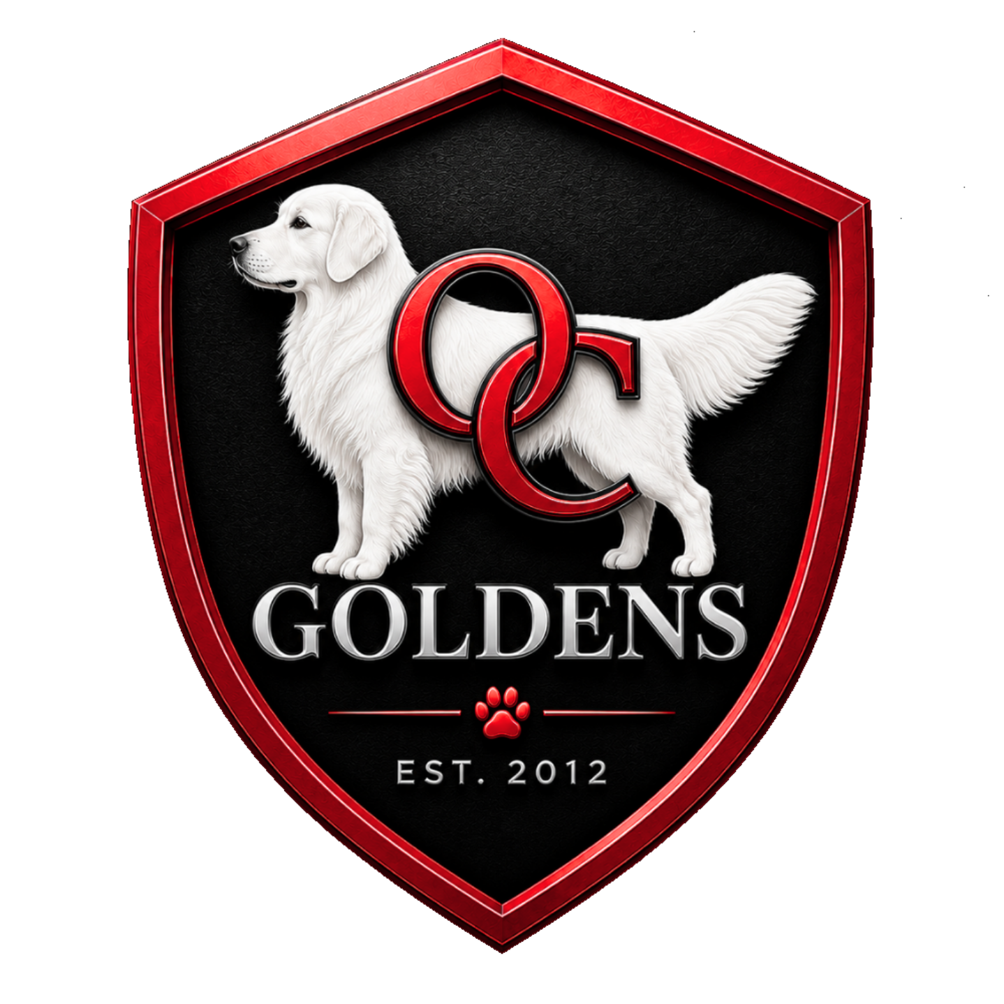 OC Goldens - English Cream Golden Retrievers