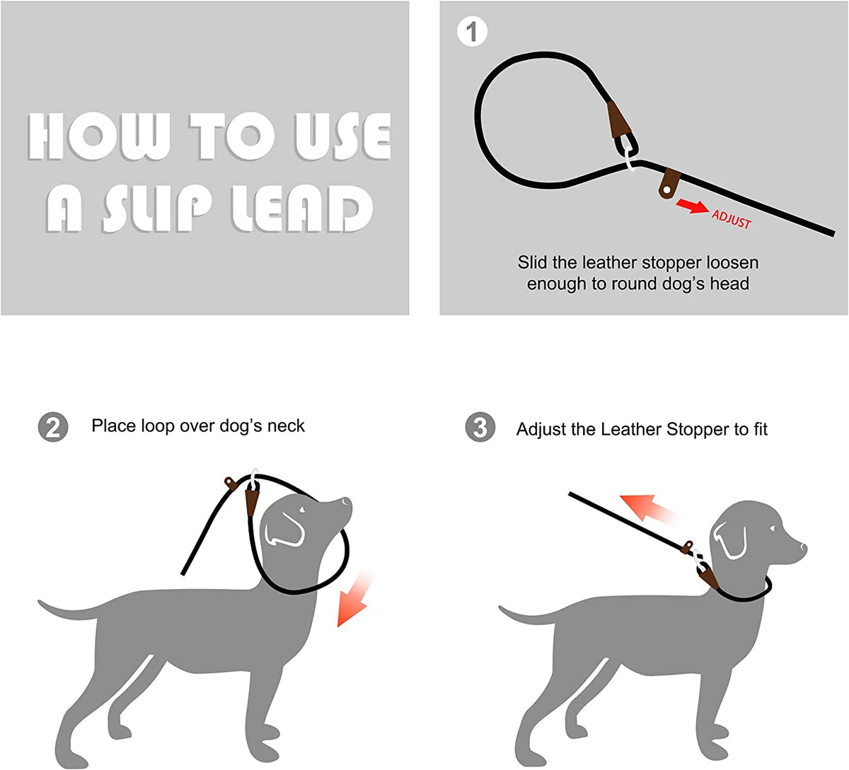 Slip Lead Dog Leash 6'