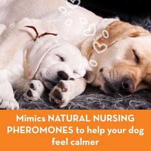 Calming Pheromone Diffuser Kit