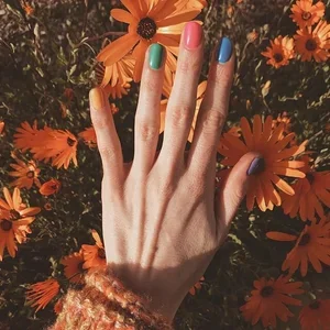 🌻🧡🌻🧡🌻