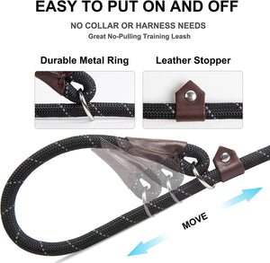 Slip Lead Dog Leash 6'